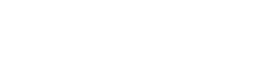 Kursive weiße Schrift auf schwarzem Hintergrund mit dem Text "fly with us!"